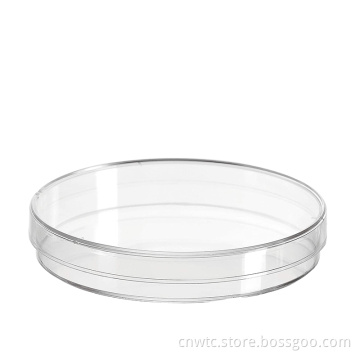 High-Quality Borosilicate Glass Petri Dishes for Laboratory Use: Ideal for Sterile Tissue Culture and Cell Cultures